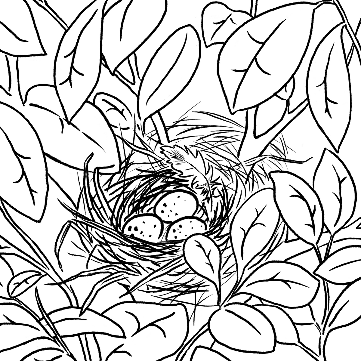 Finished coloring page for "Love" in the Beautiful Words coloring book. 